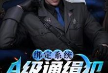 在线搜索孙平安谢平的完整小说,免费阅读绑定系统:A级通缉犯说抓就抓-经典文学