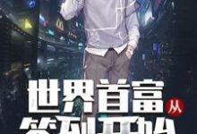 《世界首富从签到开始》小说主角林天宇林曦章节章节免费在线阅读-经典文学