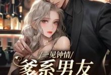 主角叫贺南州沈慕初的小说在哪阅读-经典文学