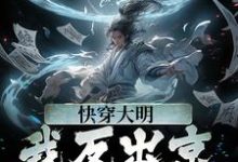 快穿大明:我反出京师对抗皇帝这本小说怎么样?免费在线阅读试试-经典文学