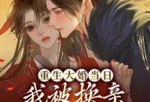重生大婚当日,我被换亲成摄政王妃小说有没有完结版在线?-经典文学
