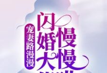 求宠妻路漫漫，闪婚大佬慢慢哄小说的全文免费阅读链接-经典文学