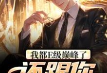 我都E级巅峰了,还跟你讲道理?这本小说在哪里可以看?哪里有免费试读章节?-经典文学