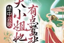 求推荐可以免费阅读楚中云歌：大小姐她有点嚣张小说的网站-经典文学