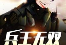 兵王无双小说全文阅读需要付费吗?寻找免费资源-经典文学