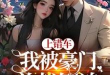 上错车,我被豪门总裁倒追小说有没有完结版在线?-经典文学