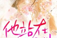 主人公叫沈念陆凌川的小说哪里免费看-经典文学