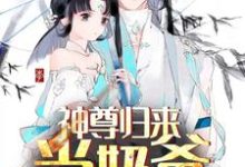 神尊归来当奶爸小说，神尊归来当奶爸秦洛安颜-经典文学
