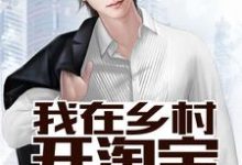 小说《我在乡村开淘宝》在线章节阅读-经典文学