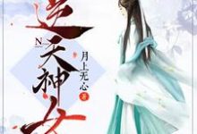 小说《逆天神女》在线章节阅读-经典文学