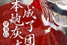 免费看穿书后,本炮灰咋成了团宠小说的网站有哪些?-经典文学