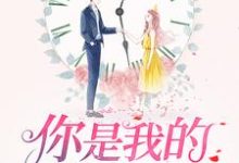 完整版的你是我的万分之一糖小说在哪里可以免费读到?-经典文学