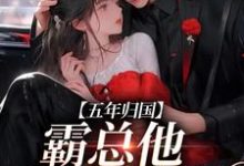 五年归国,霸总他紧追不舍 孟青柠傅南萧,五年归国,霸总他紧追不舍小说免费阅读-经典文学