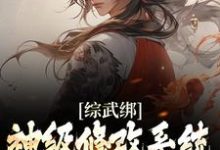 王也是哪本书的主角?综武绑神级修改系统,我以武道修仙免费读-经典文学