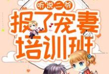 孟雨溪秦之陌为主角的小说听说二爷报了宠妻培训班在线阅读-经典文学