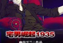 宅男崛起1935小说,宅男崛起1935免费阅读-经典文学