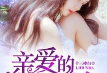 《亲爱的,离婚吧》全集免费在线阅读(夏林陆南笙蓝希莫厉琛)-经典文学