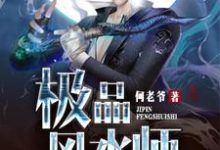 在线寻找极品风水师小说的无删减版本-经典文学