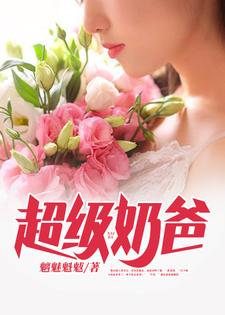 超级奶爸小说无弹窗阅读的网站推荐