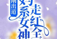 小说《刚出道:妈系女神走红全网》在线章节阅读-经典文学