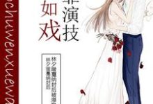 人生如戏,全靠演技小说完结了吗?在哪里可以免费读到?-经典文学