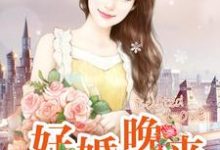 好婚晚来这本小说怎么样？免费在线阅读试试-经典文学