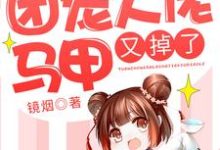 哪里能找到快穿:团宠大佬马甲又掉了小说的全部章节?-经典文学