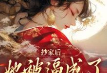 抄家后,她被逼成了国师夫人小说免费资源,抄家后,她被逼成了国师夫人在线阅读-经典文学