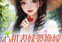 顾明月沈宴为主角的小说叫什么？免费看心机表妹要换嫁，我笑着同意-经典文学