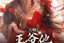 天呐!王爷他还在追妻小说最新章节在哪里可以读到?-经典文学