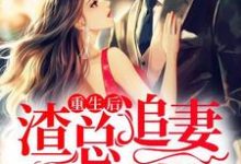 重生后,渣总追妻火葬场云桑夜靖寒,重生后,渣总追妻火葬场章节在线阅读-经典文学