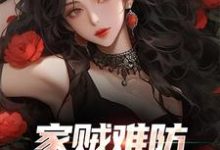 完结版《家贼难防：老婆是个扶弟魔》在线免费阅读-经典文学