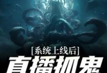 免费在线阅读系统上线后,直播抓鬼返战斗力小说的正规网站有哪些?-经典文学