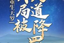 重生天罗：开局被天道降罚小说有没有完结版在线？-经典文学