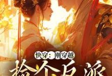 快穿:刚穿越,捡个反派当老公小说最新更新在哪里?免费在线看-经典文学