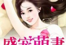 男女主人公苏柔苏羽泽苏媚媚小说盛宠萌妻章节免费阅读-经典文学