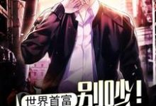 在线寻找世界首富:别吵!忙着亏钱!小说的无删减版本-经典文学