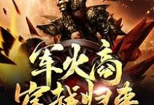 求军火商穿越归来小说的全文免费阅读链接-经典文学
