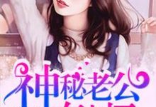 小说《神秘老公有点坏》章节阅读-经典文学