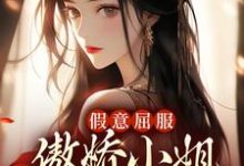 男女主人公叫叶青绾沈元霁的小说免费资源-经典文学