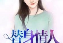替身情人章节免费在线阅读，白雨菲霍云崆白城林清儿完结版-经典文学