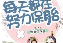 庄锦凌珩为主角的小说叫什么？免费看穿越后每天都在努力保胎-经典文学