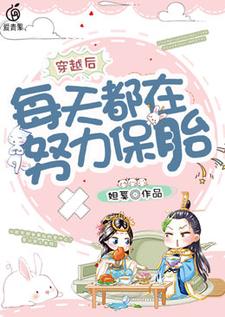 庄锦凌珩为主角的小说叫什么？免费看穿越后每天都在努力保胎