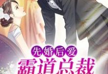 先婚后爱：霸道总裁秒变粘人精章节免费在线阅读，陆凌琛夏然完结版-经典文学