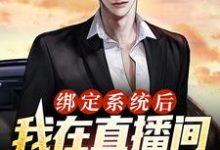 绑定系统后，我在直播间甩卖通缉犯林尘，绑定系统后，我在直播间甩卖通缉犯在线无弹窗阅读-经典文学