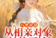 主人公 潘玉兰萧启小说八零首富:从相亲对象被抢开始在线章节阅读-经典文学