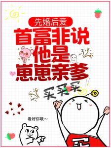 苏清琉霍御白的小说在哪里看？免费在线阅读先婚后爱：首富非说他是崽崽亲爹？