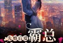 已完结小说《先婚后爱,霸总他动心了》最新章节-经典文学