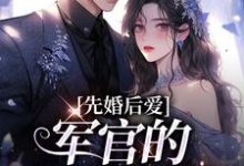 小说《先婚后爱：军官的绝世医妻》章节免费阅读-经典文学