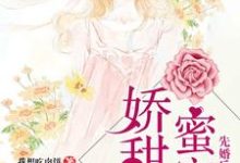 主角叫苏甜陆萧的小说在哪阅读-经典文学